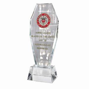 shape crystal 23 (27cm)