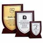 shield (30, 23, 14cm)