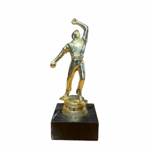cricket bowler batsman