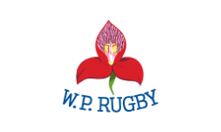 WP Rugby