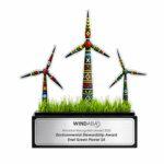 custom award 4