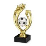 soccer ball large