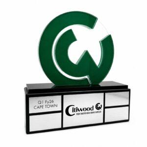 custom award 12