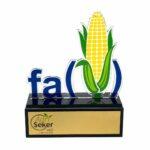 custom award 1