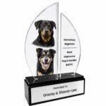 custom award 17