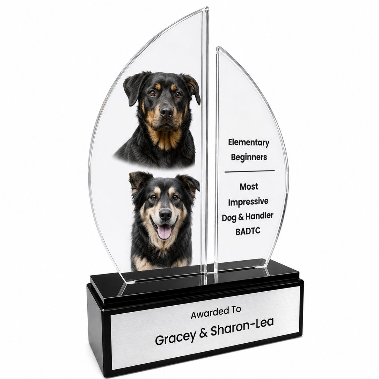 custom award 17