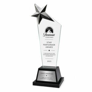 star crystal 2 silver (26cm)