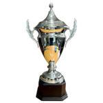 king cup (copy)