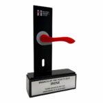 custom award 24