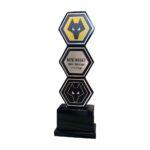 custom award 24