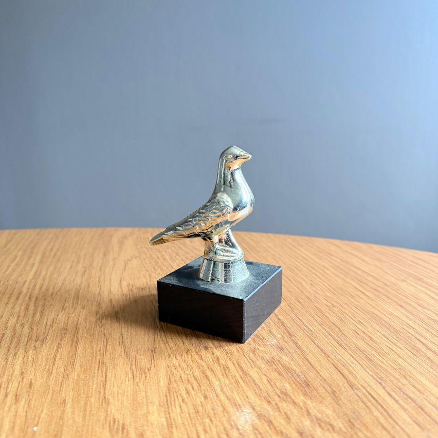 Pigeon Sitting