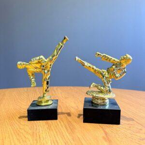 karate double small