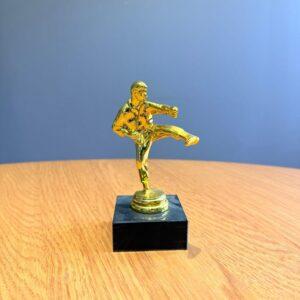 karate double small