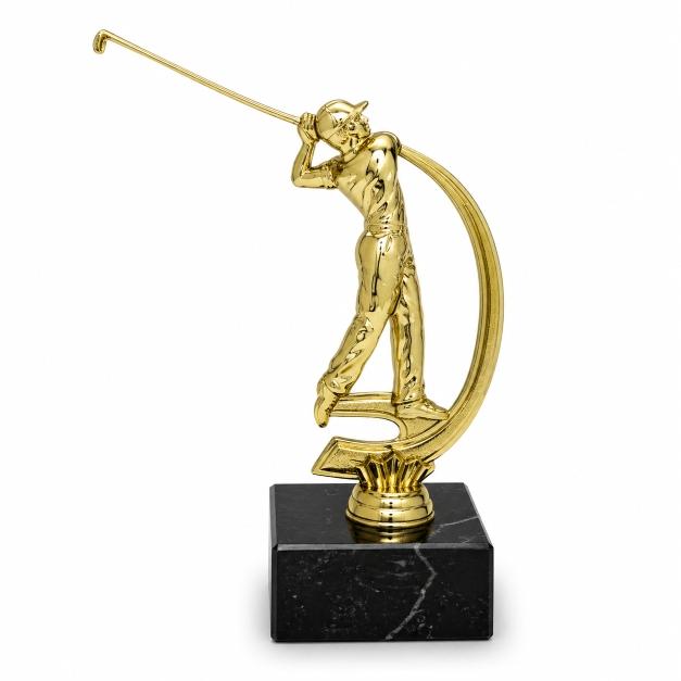 golf swing male large