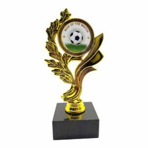 1st place figure trophy (32cm) (copy)