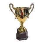 2043b silver (50cm) (copy)